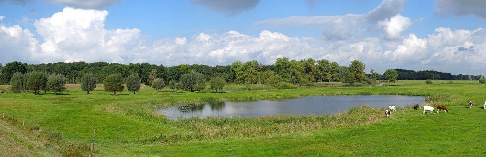 Zwarte kolk